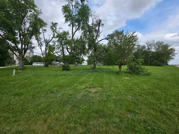 a view of a grassy field with trees