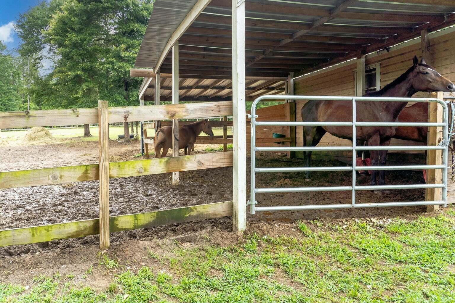 428 Equine Road Barnwell, SC 29812 - Photo 32 of 35