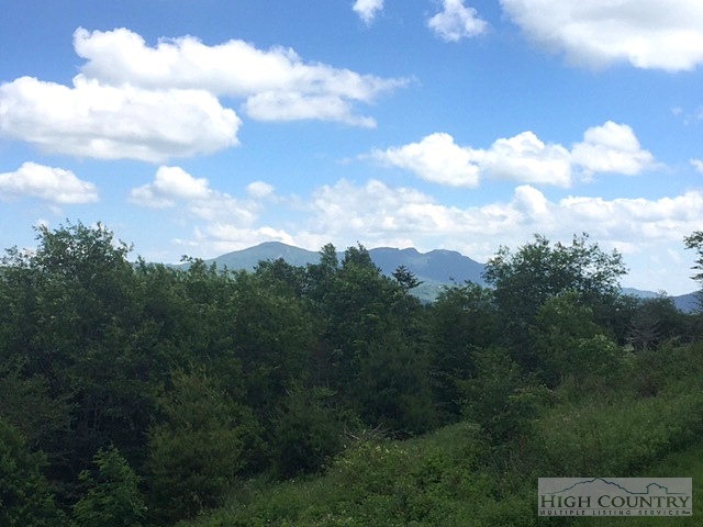 414 Grey Fox Ridge Road Banner Elk, NC 28604 - Photo 22 of 28 Gallery Image 22