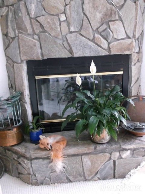 414 Grey Fox Ridge Road Banner Elk, NC 28604 - Photo 10 of 28 Gallery Image 10