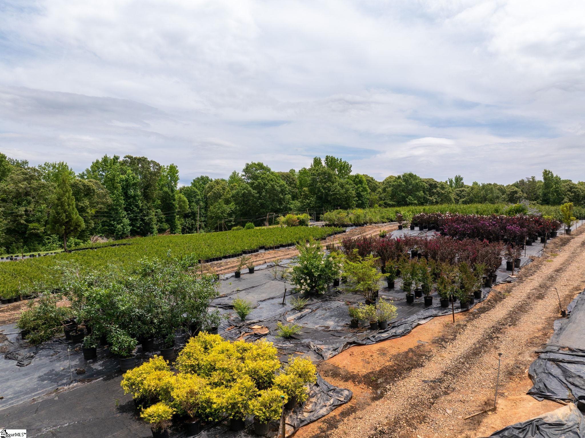 1350 Lee Cudd Road Rutherfordton, NC 28139 - Photo 9 of 34