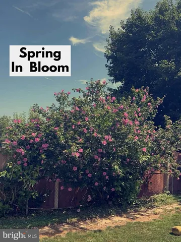 a view of a bunch of flowers and trees