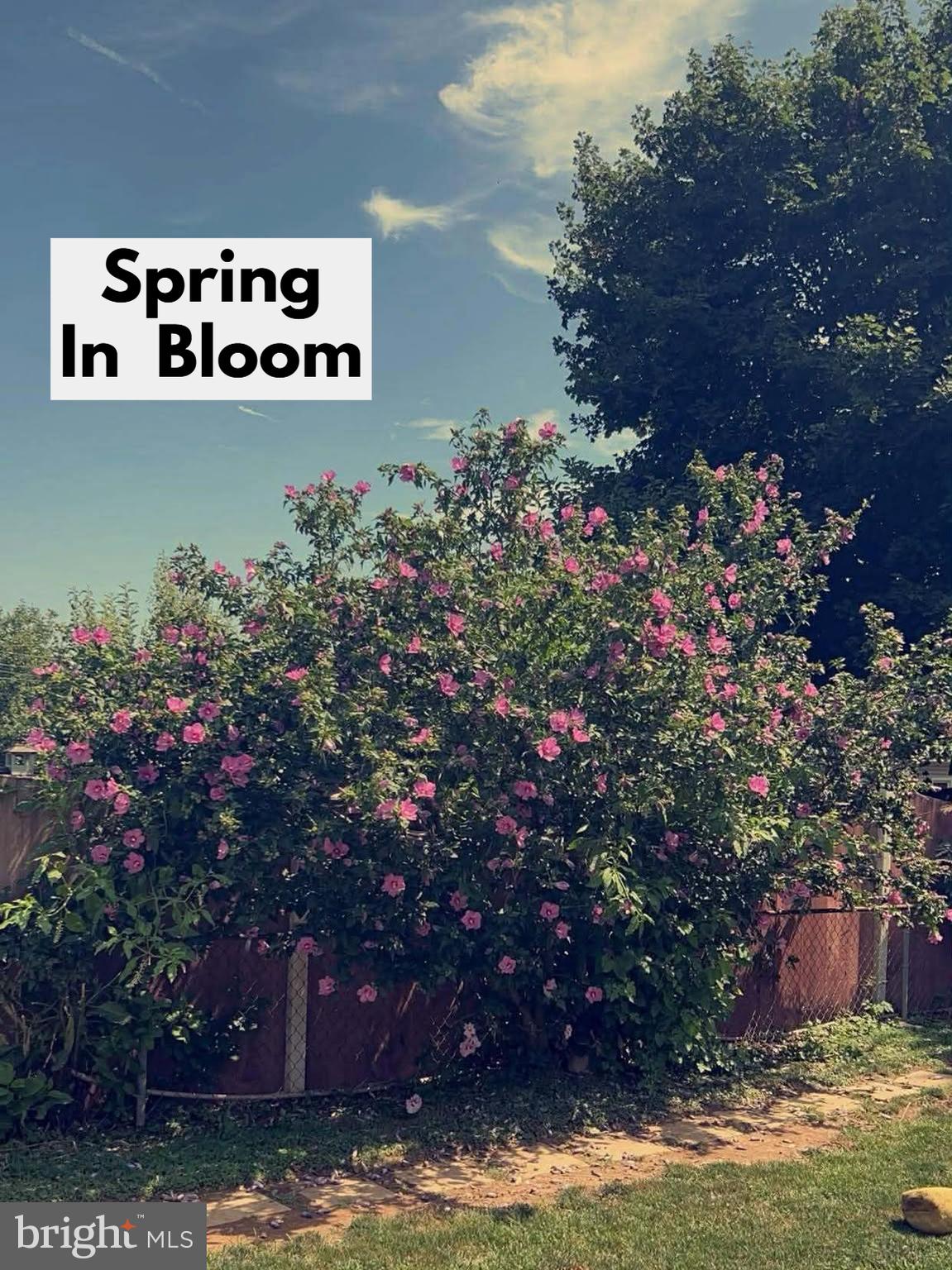 614 Broadway Hanover, PA 17331 - Photo 24 of 33 a view of a bunch of flowers and trees