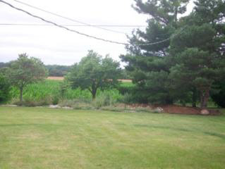 1610 Strasburg Road Monroe, MI 48161 - Photo 19 of 20 Backyard