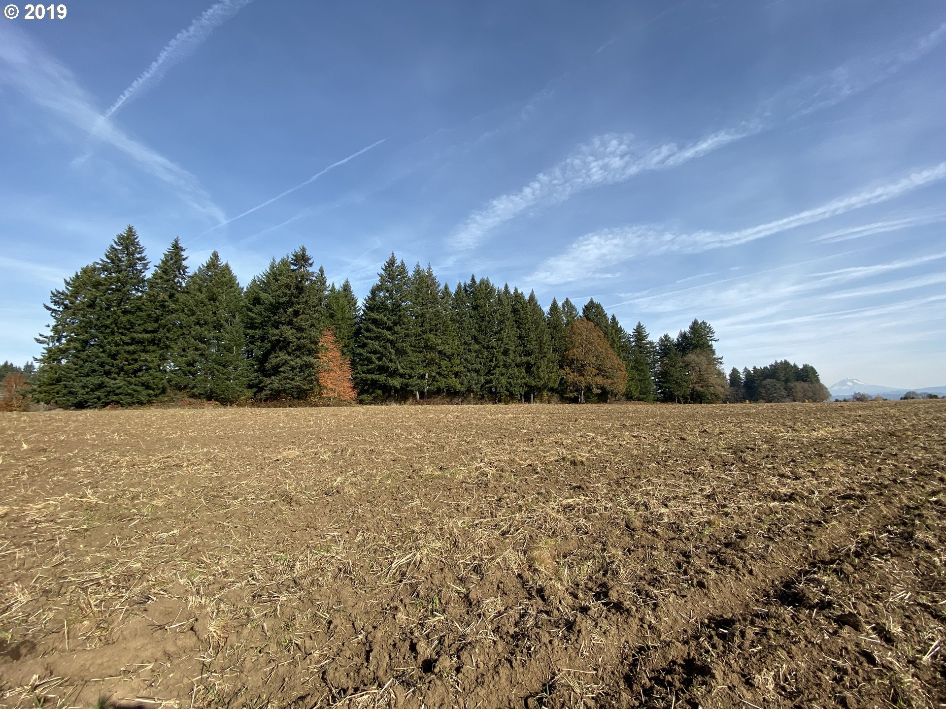 0 South Arthur Road Oregon City, OR 97045 - Photo 3 of 4
