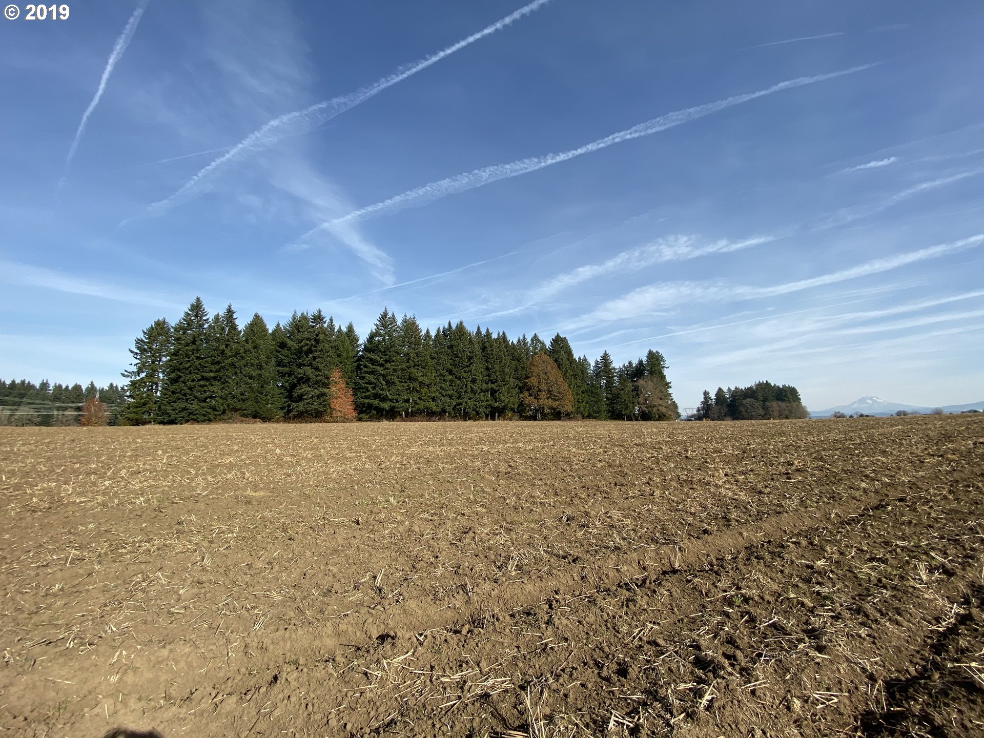 0 South Arthur Road Oregon City, OR 97045 - Photo 4 of 4