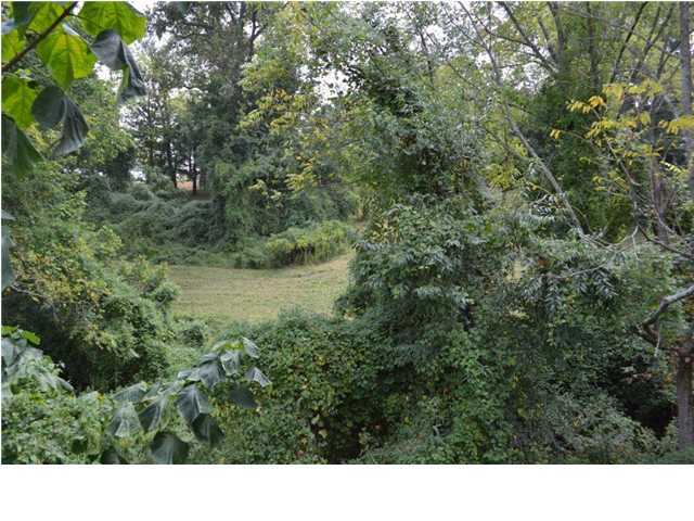 6725 Regal Road Louisville, KY 40222 - Photo 5 of 6 Additional Photo