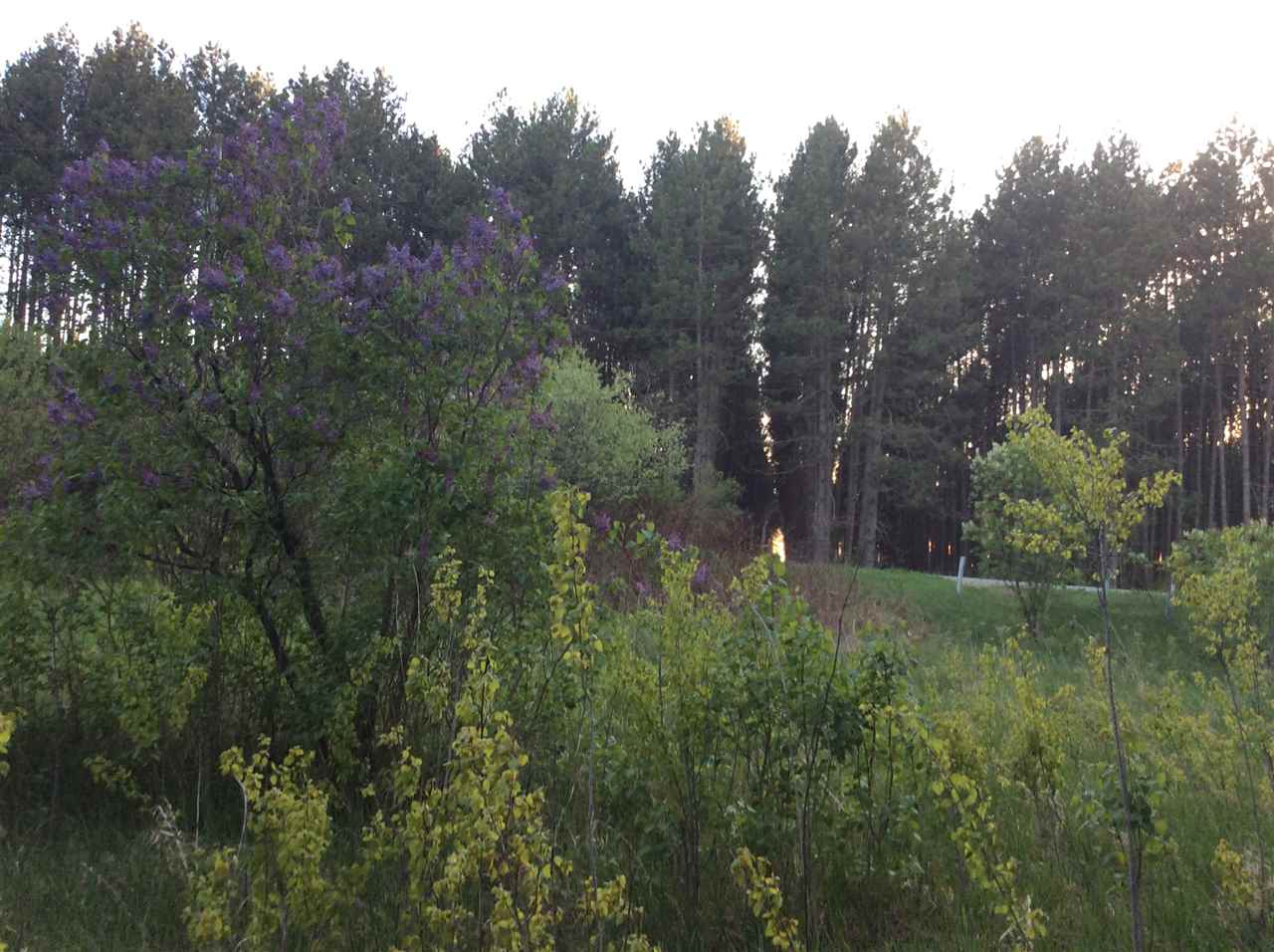 3690 North Lucas Road Lake City, MI 49651 - Photo 9 of 15 1844561-8.JPG