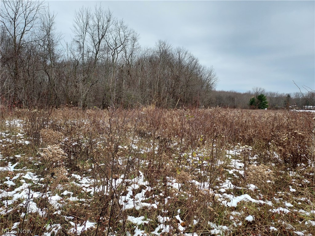 Girdled Road Painesville, OH 44077 - Photo 2 of 6 Gallery Image 2