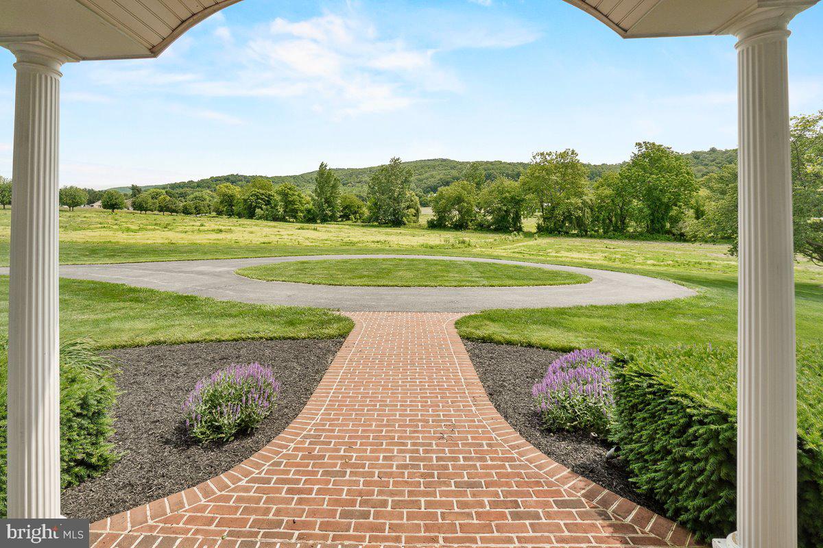 8170 Hollow Road Middletown, MD 21769 - Photo 3 of 67 View from front door