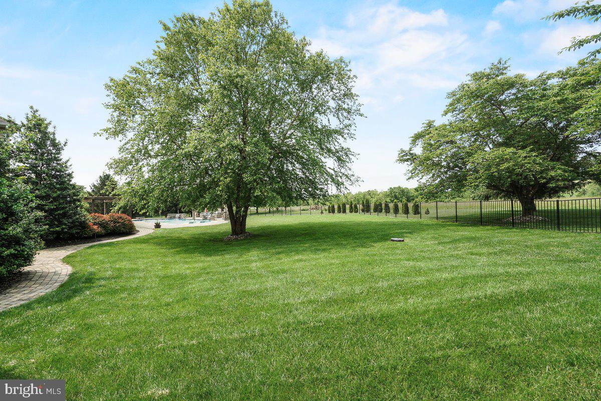 8170 Hollow Road Middletown, MD 21769 - Photo 44 of 67 a view of a park with large trees