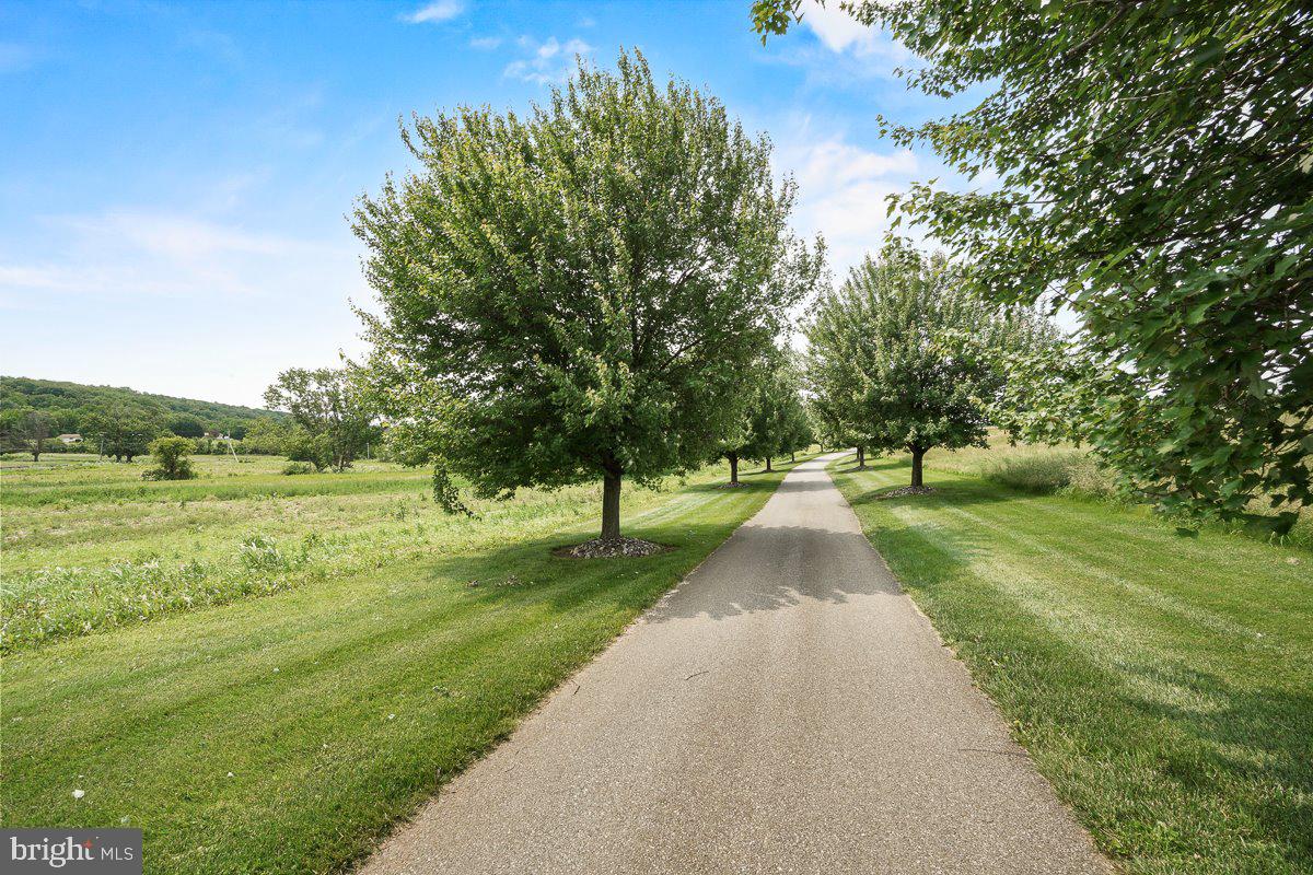 8170 Hollow Road Middletown, MD 21769 - Photo 58 of 67 a view of a park with large trees