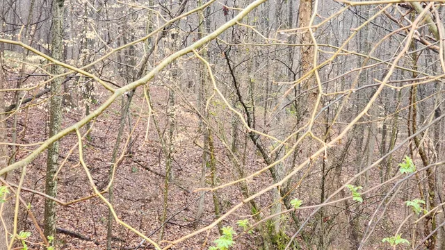 a sink with wooden floor