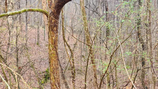 $70,000 | 1120 Jacobs Court, Joelton, TN 37080