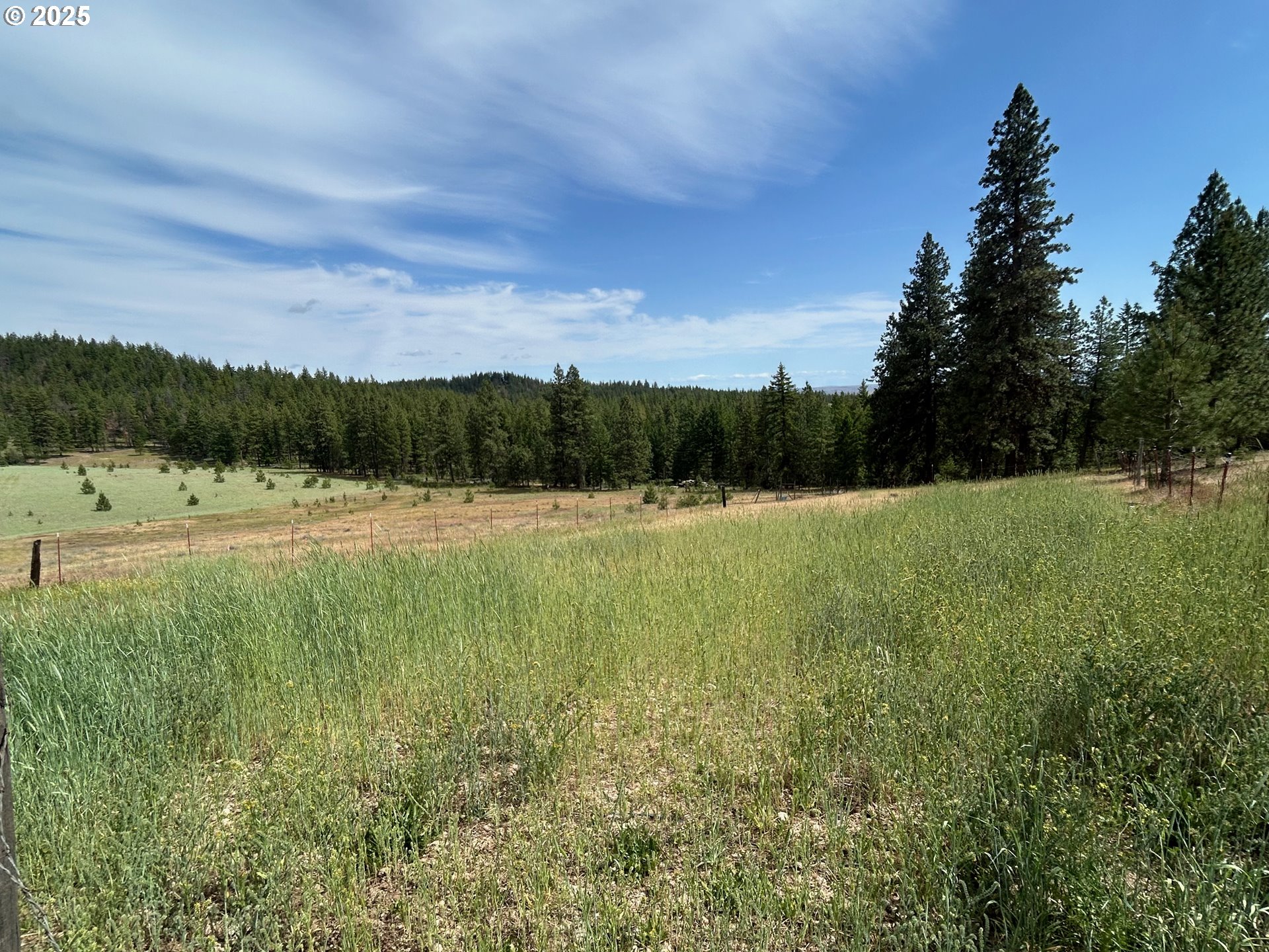 498 Turkey Ranch Road Goldendale, WA 98620 - Photo 13 of 18 Gallery Image 13