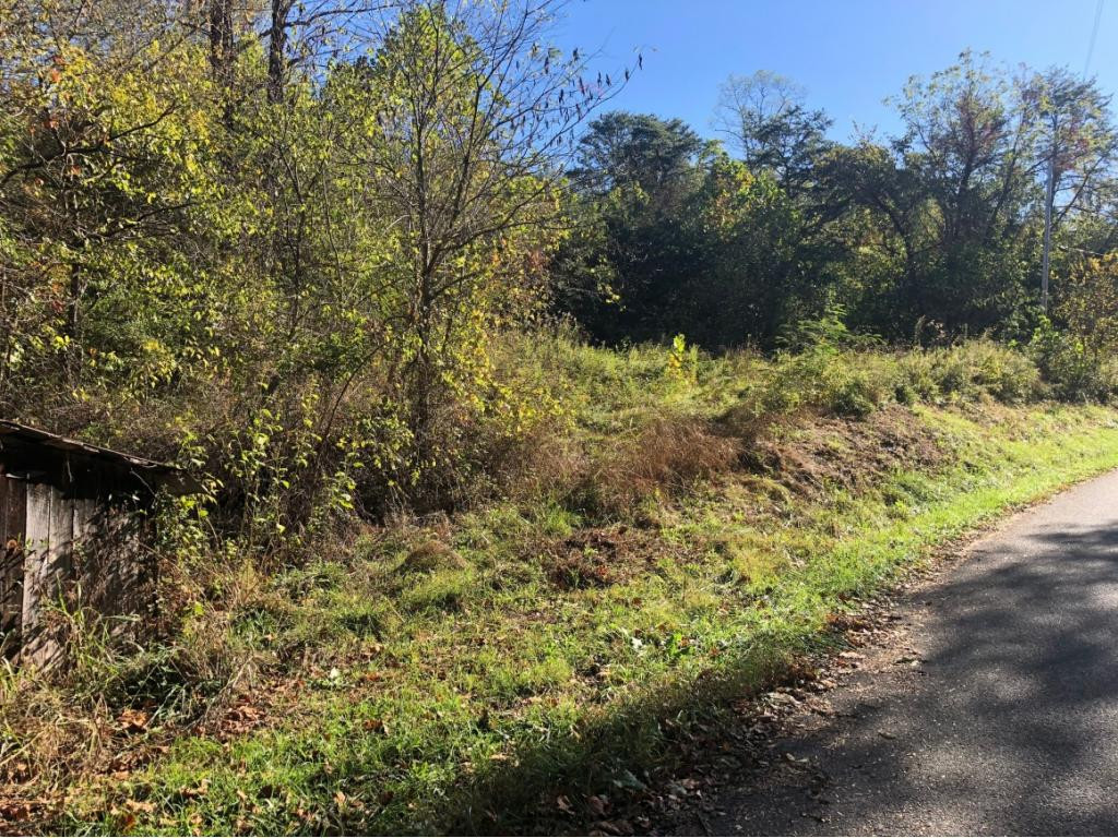 Tbd Cloyd Road Jonesborough, TN 37659 - Photo 3 of 7 Photo 3