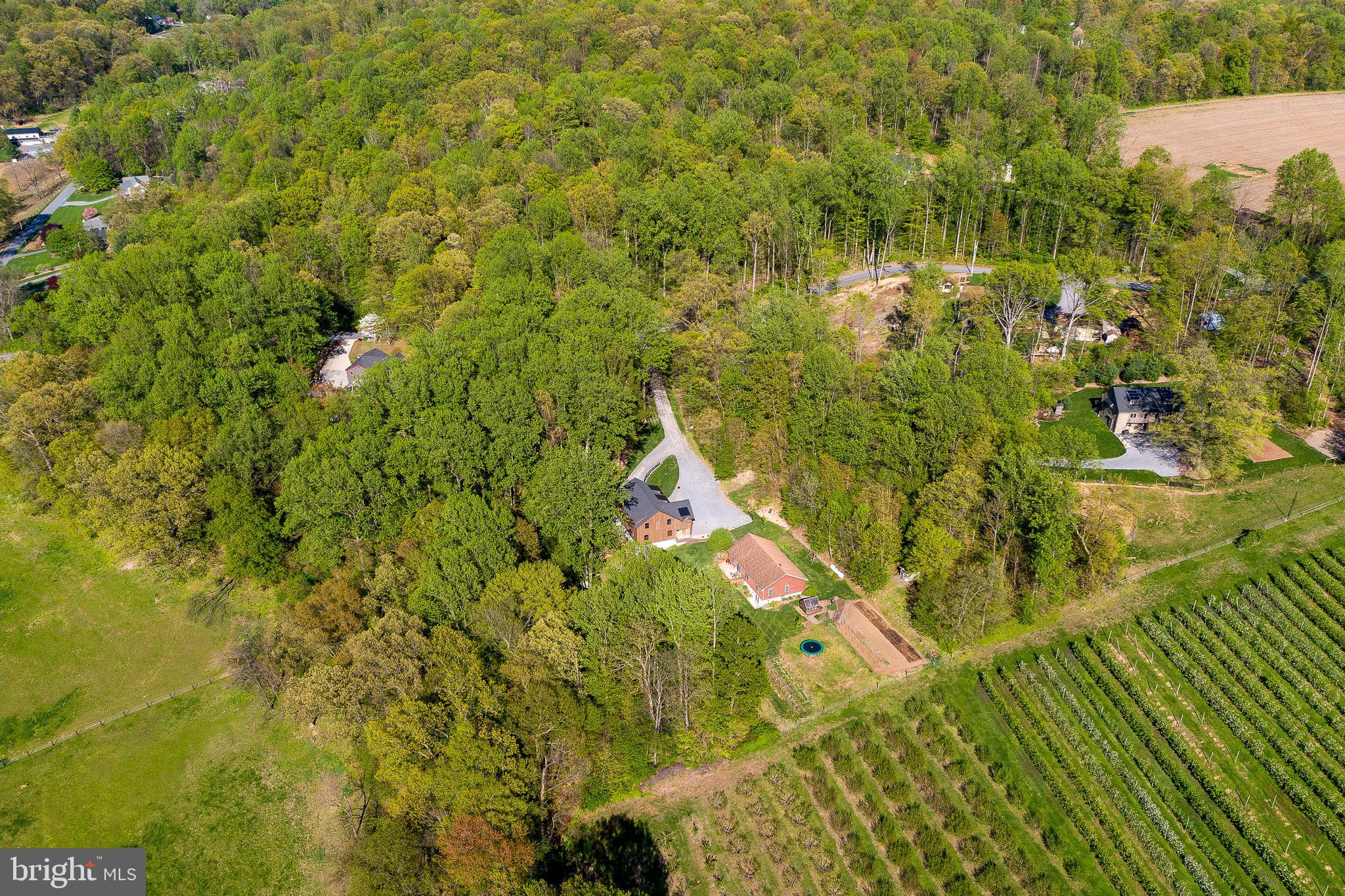 6309 Plank Road Narvon, PA 17555 - Photo 12 of 14 a view of yard