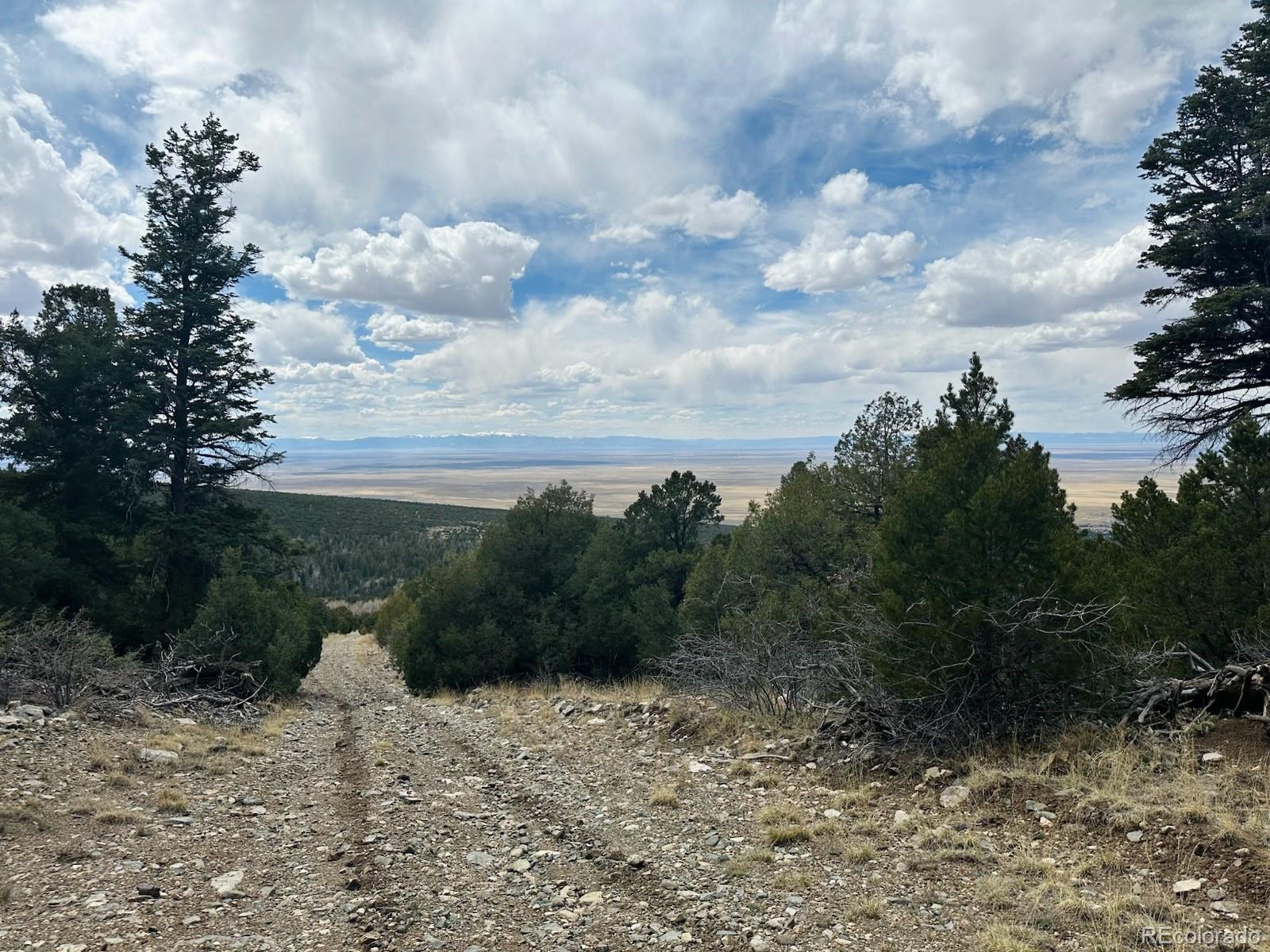 313 Arrastre Road Mosca, CO 81146 - Photo 13 of 18 a view of a dry yard