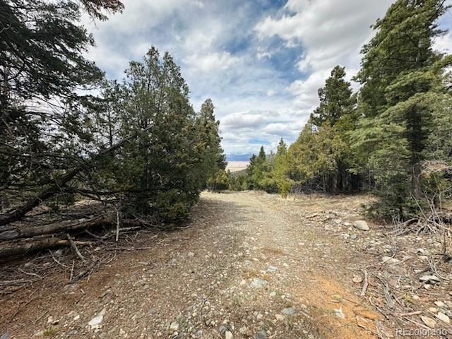 313 Arrastre Road Mosca, CO 81146 - Photo 14 of 18 a view of a dry yard with trees