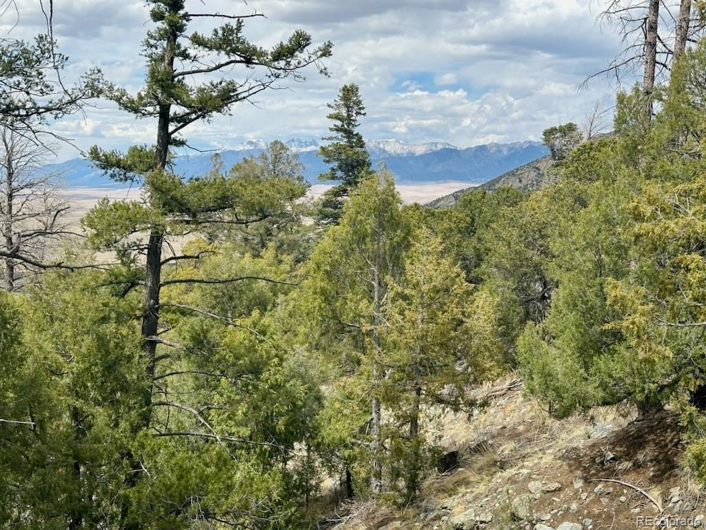 313 Arrastre Road Mosca, CO 81146 - Photo 2 of 18 a picture of a tree