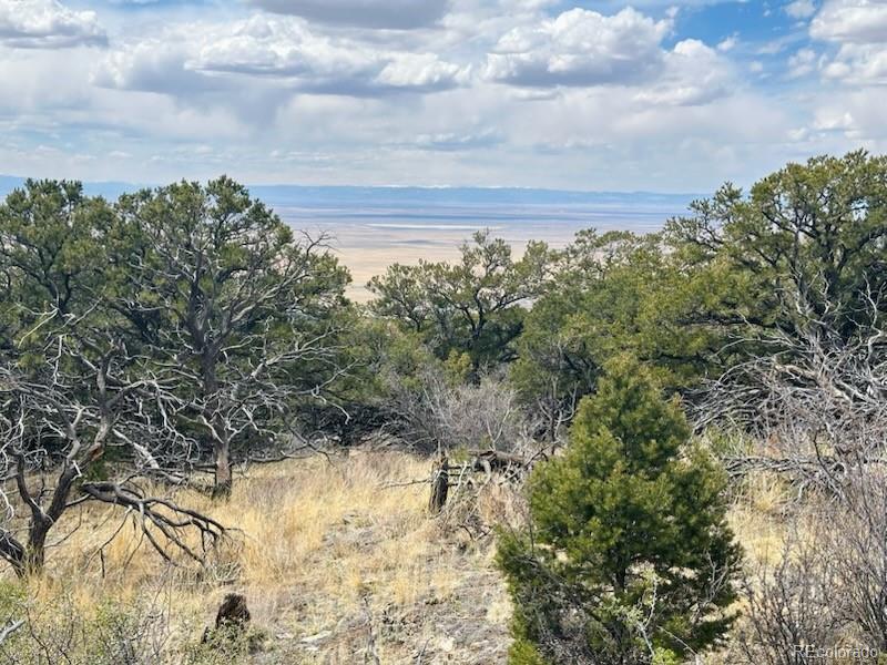 313 Arrastre Road Mosca, CO 81146 - Photo 6 of 18