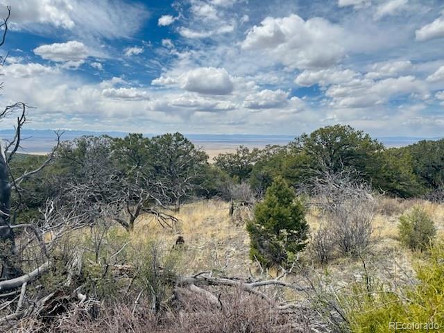 313 Arrastre Road Mosca, CO 81146 - Photo 7 of 18 a view of a lake with a yard
