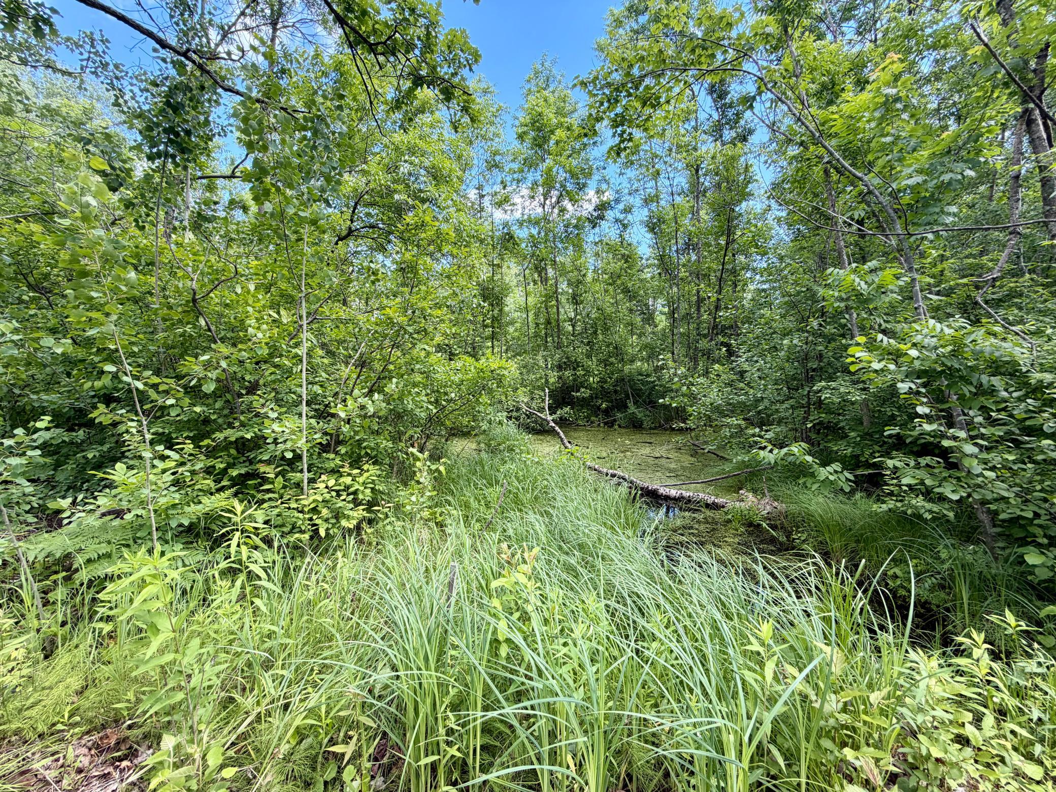 27639 Gateway Road Garrison, MN 56450 - Photo 8 of 9