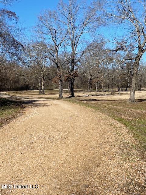 Cripple Creek Road Canton, MS 39046 - Photo 12 of 18 IMG_3466