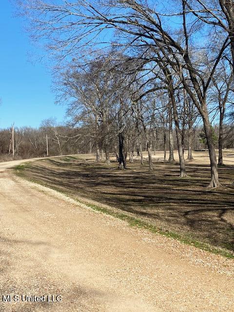 Cripple Creek Road Canton, MS 39046 - Photo 13 of 18 IMG_3464
