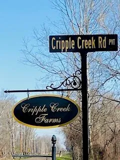 $100,000 | Cripple Creek Road, Canton, MS 39046