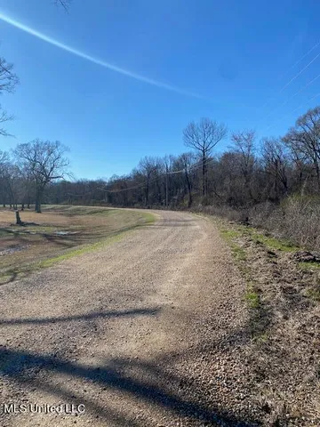 $100,000 | Cripple Creek Road, Canton, MS 39046