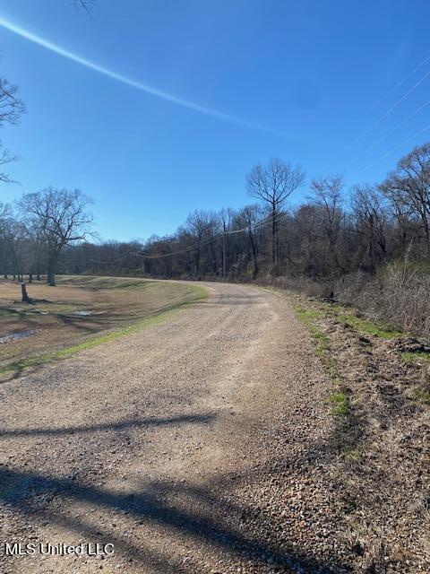 Cripple Creek Road Canton, MS 39046 - Photo 15 of 18 IMG_3457