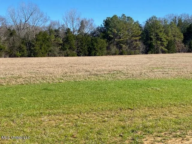 $100,000 | Cripple Creek Road, Canton, MS 39046