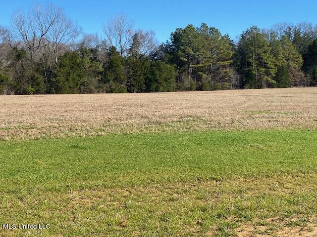 Cripple Creek Road Canton, MS 39046 - Photo 3 of 18 IMG_3443