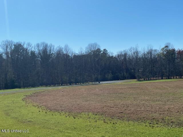 Cripple Creek Road Canton, MS 39046 - Photo 4 of 18 IMG_3446