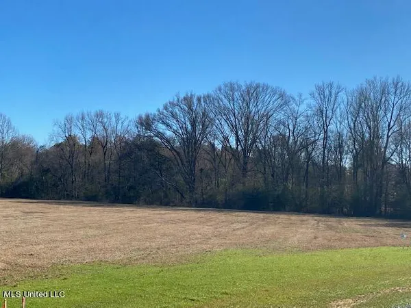 $100,000 | Cripple Creek Road, Canton, MS 39046