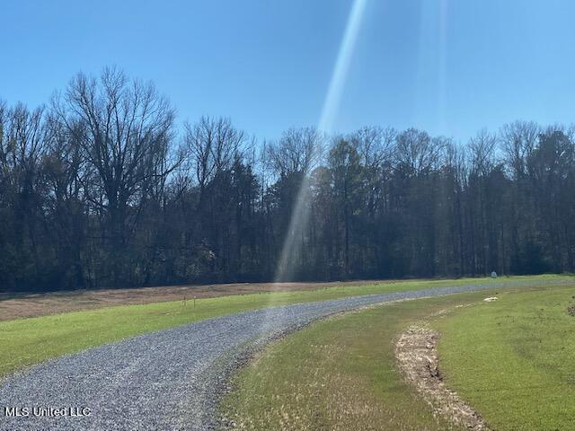 Cripple Creek Road Canton, MS 39046 - Photo 6 of 18 IMG_3447