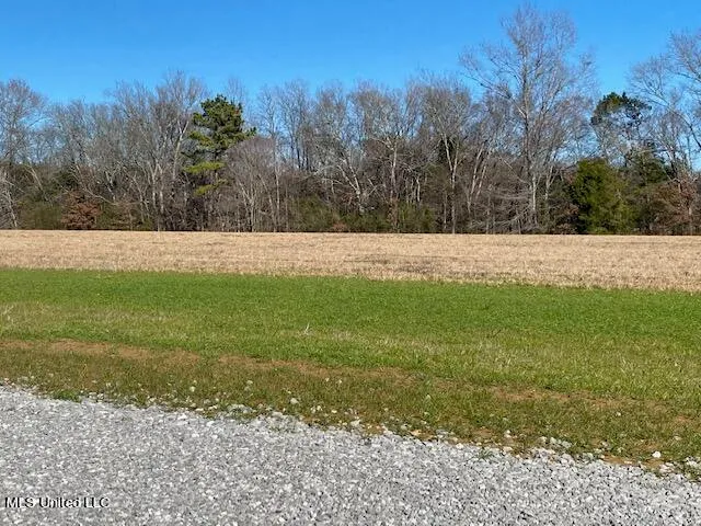 $100,000 | Cripple Creek Road, Canton, MS 39046