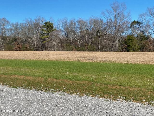 Cripple Creek Road Canton, MS 39046 - Photo 7 of 18 IMG_3442