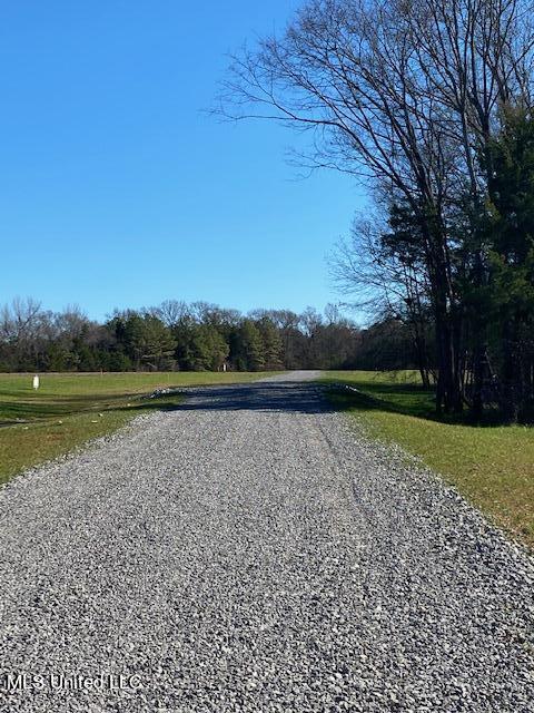 Cripple Creek Road Canton, MS 39046 - Photo 8 of 18 IMG_3438
