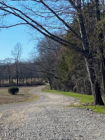 $100,000 | Cripple Creek Road, Canton, MS 39046