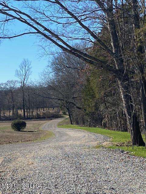 Cripple Creek Road Canton, MS 39046 - Photo 10 of 18 IMG_3449