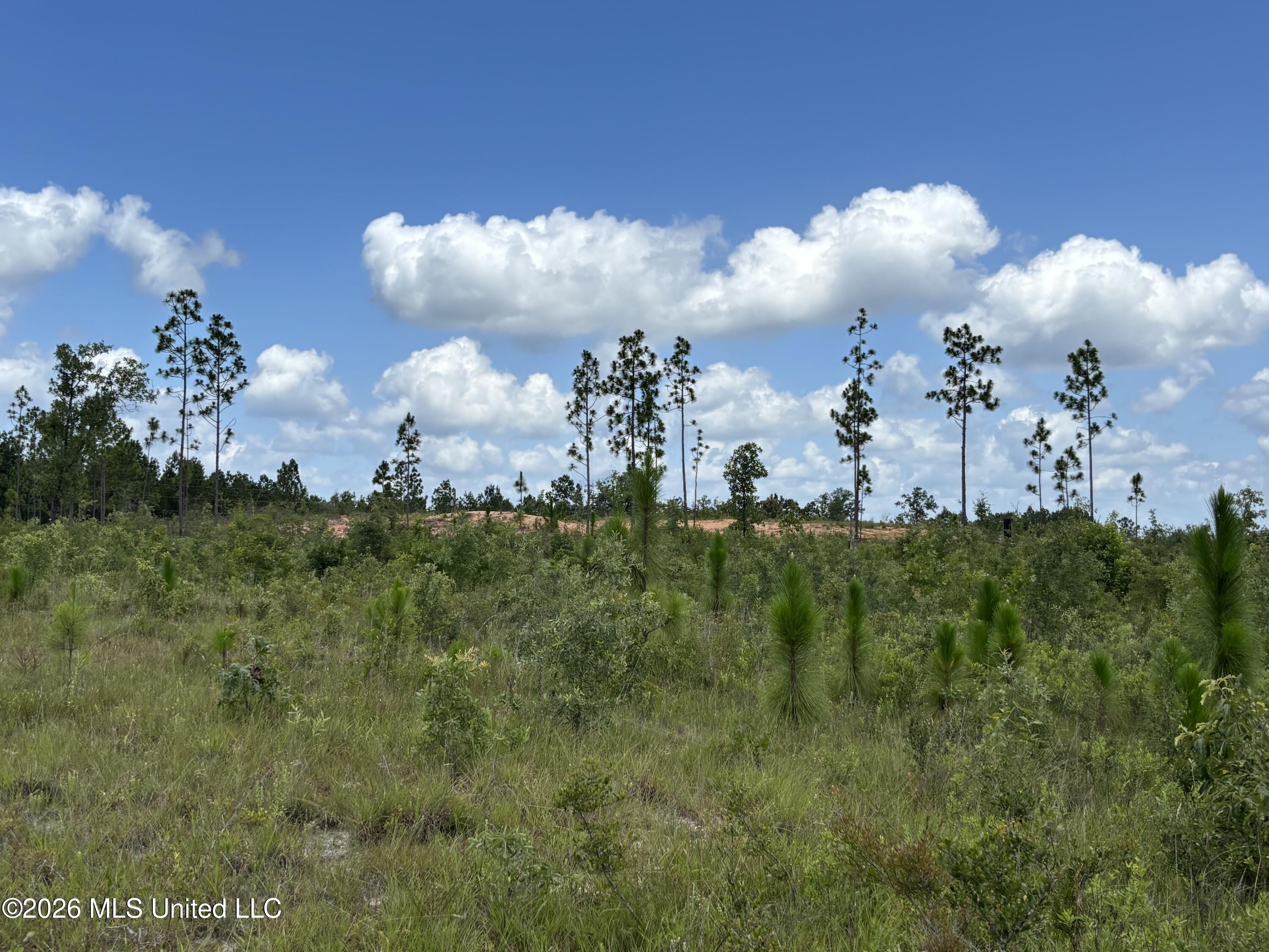 196 South County Line Road Lumberton, MS 39455 - Photo 11 of 18 IMG_3003