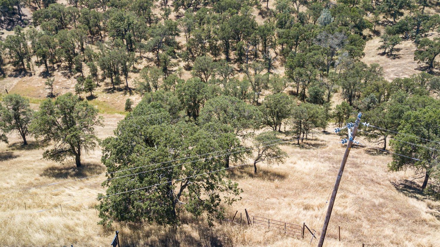1375 Cheyenne Road Copperopolis, CA 95228 - Photo 1 of 7 a view of a yard with large tree