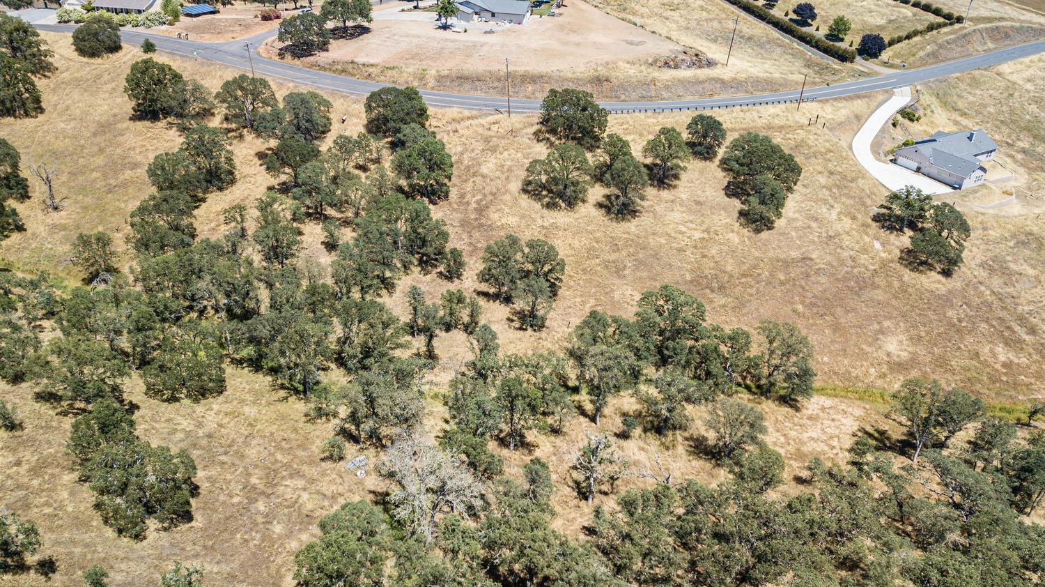 1375 Cheyenne Road Copperopolis, CA 95228 - Photo 6 of 7 a view of a backyard of the house