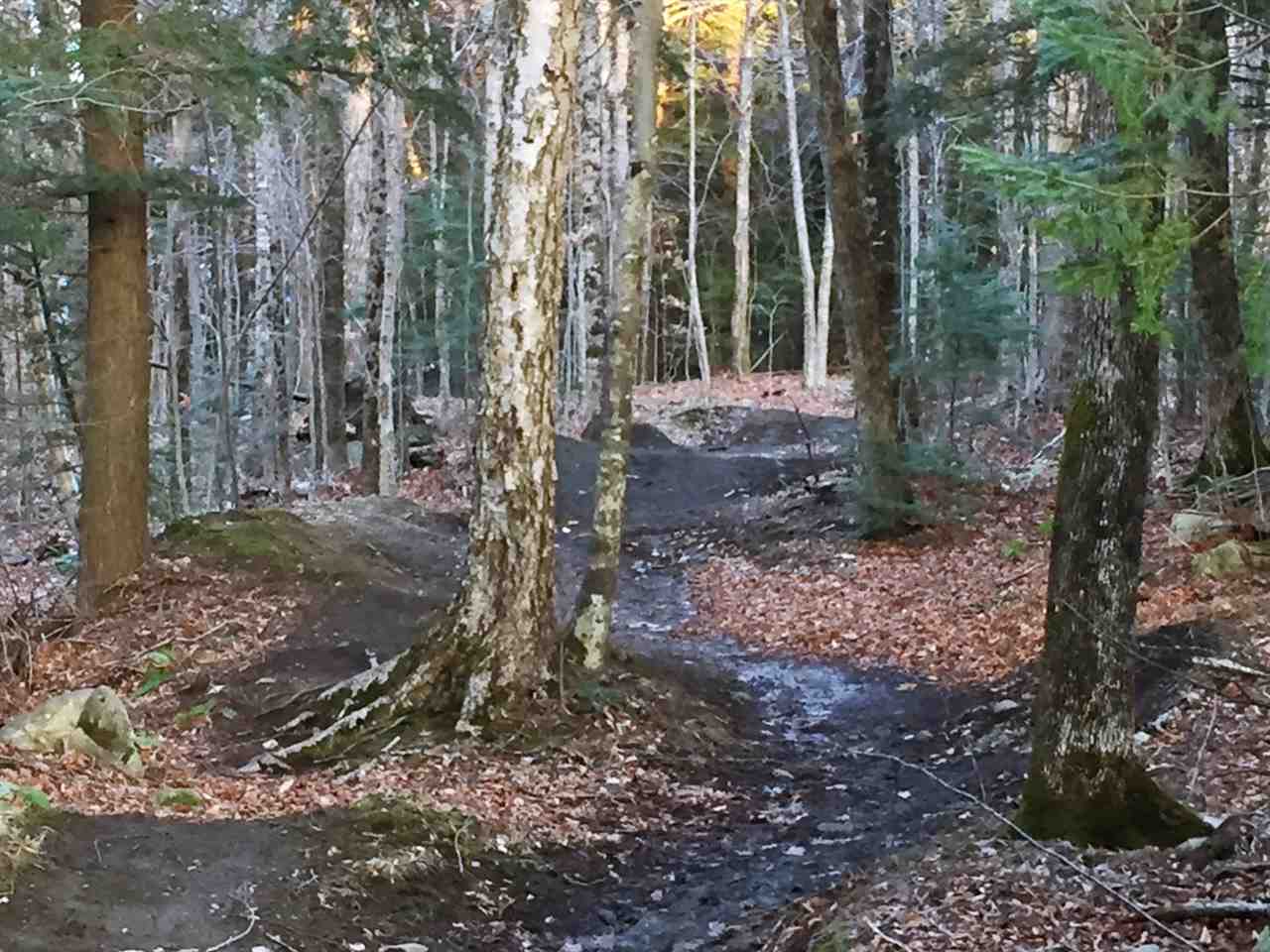 26 Wintergreen Road, Unit 7 Burke, VT 05832 - Photo 23 of 27 Gallery Image 23