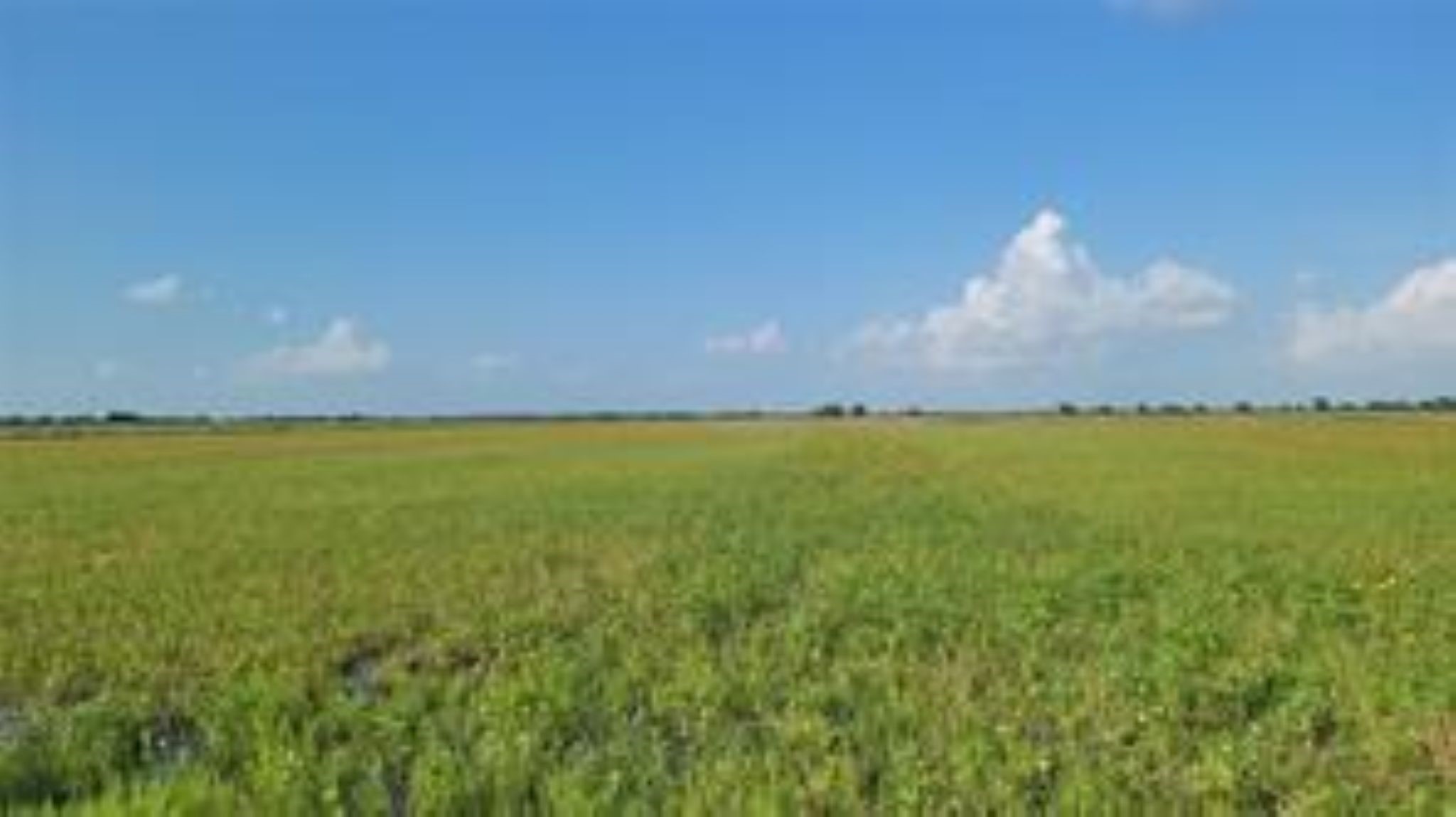 1297 McDonald Road Eagle Lake, TX 77434 - Photo 6 of 10 a view of an ocean and beach