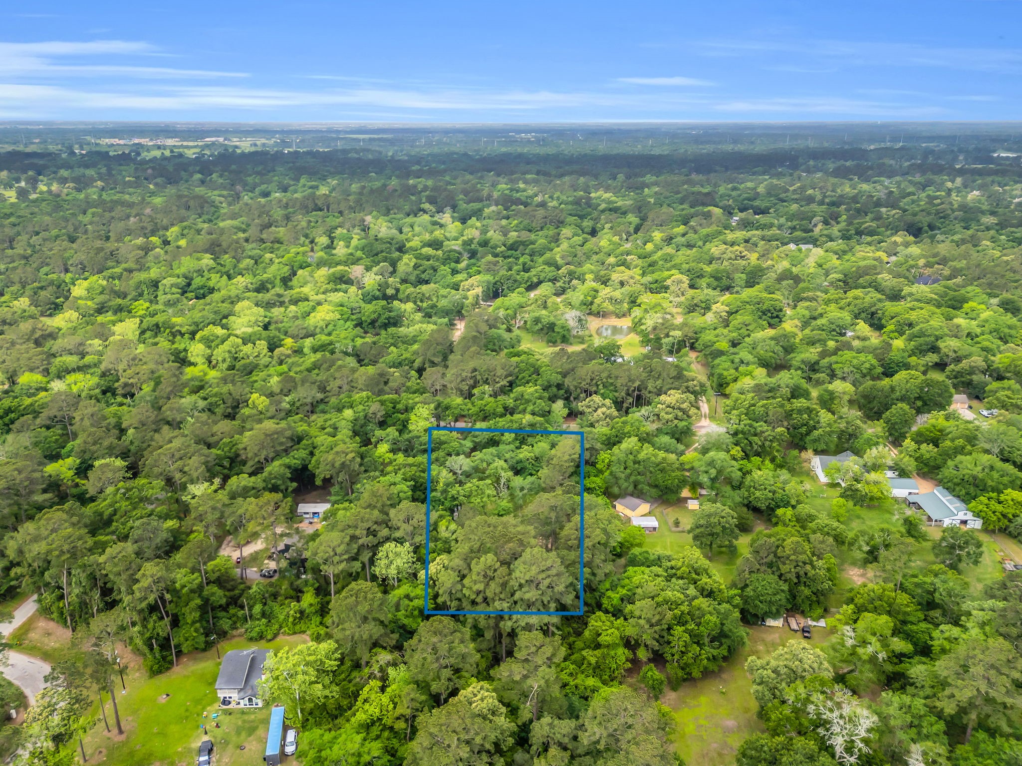 24466 Pine Creek Road Hockley, TX 77447 - Photo 8 of 16