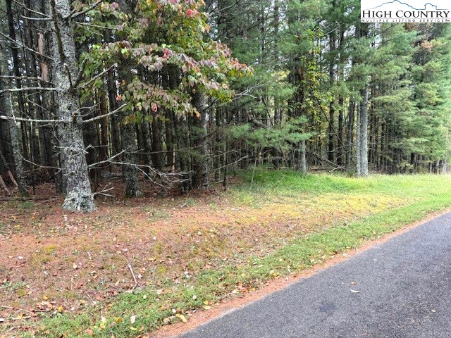 River Forest Road Grassy Creek, NC 28631 - Photo 2 of 10