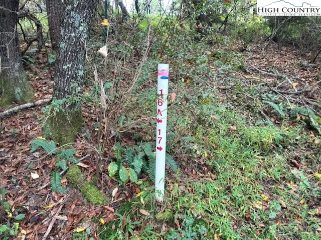 $25,000 | River Forest Road, Grassy Creek, NC 28631